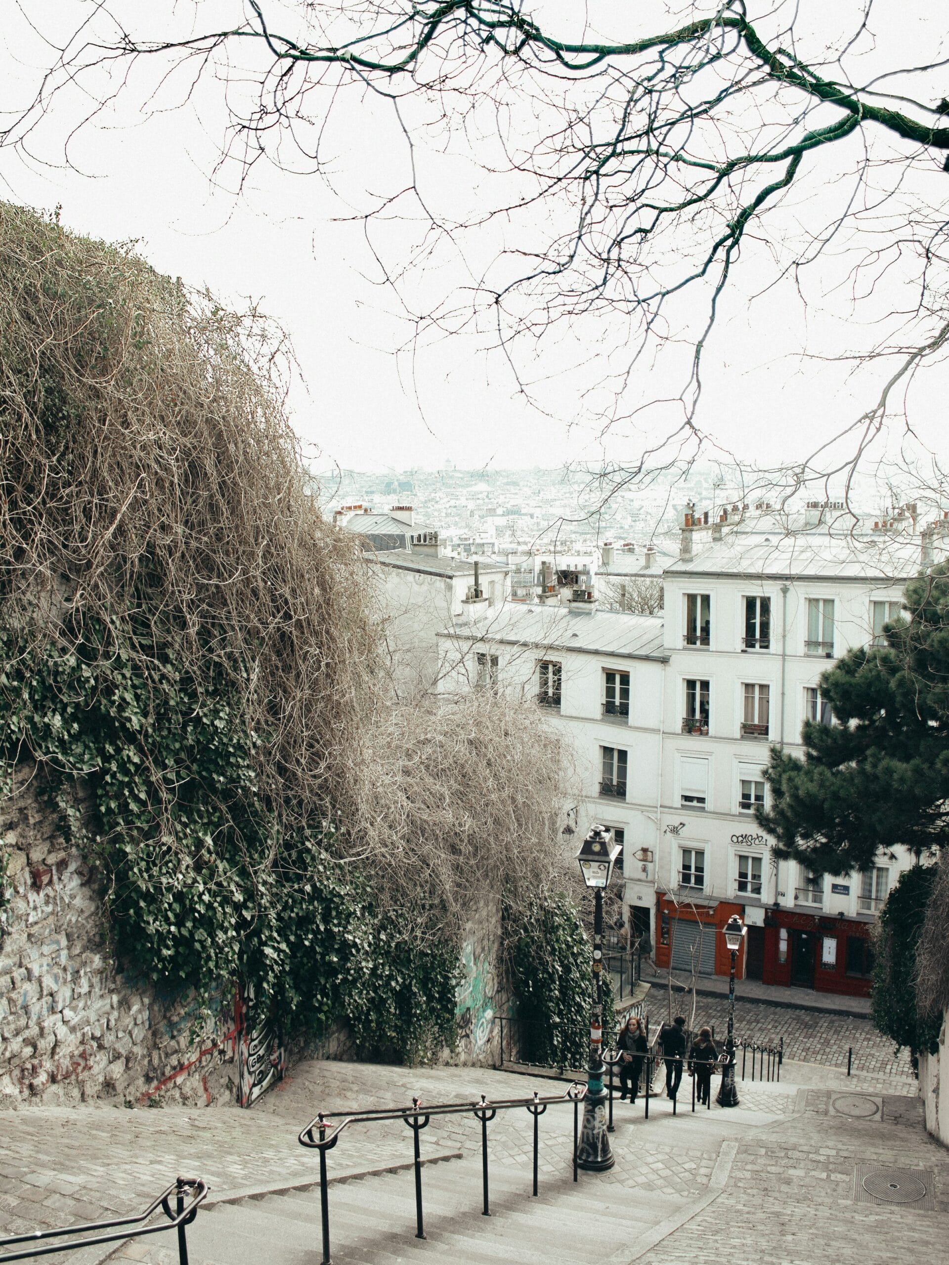 Montmartre stairs in Paris, a typical cultural visit for students learning French at FTC Paris